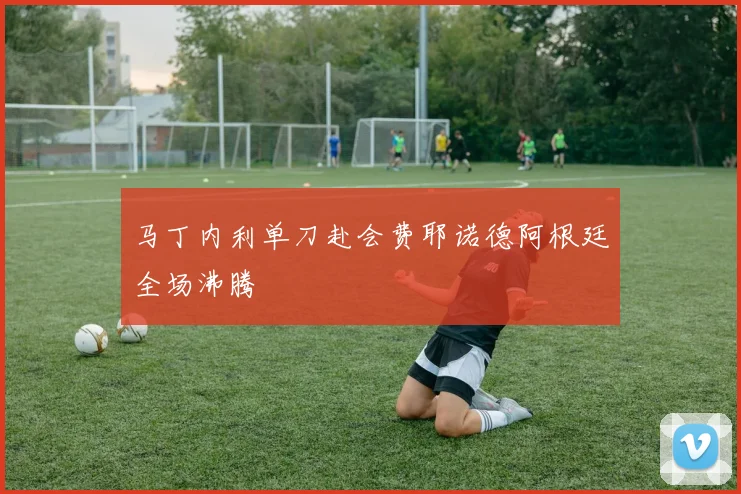 关于「马丁内利单刀赴会费耶诺德阿根廷全场沸腾」