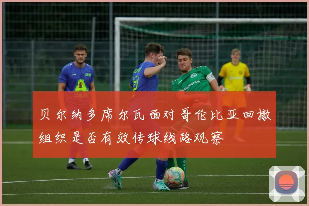 贝尔纳多席尔瓦面对哥伦比亚回撤组织是否有效传球线路观察 · 用户常问