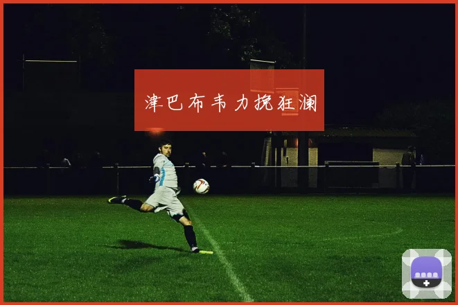 津巴布韦力挽狂澜