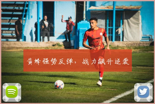 黄蜂强势反弹，战力飙升逆袭