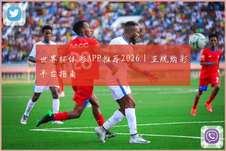 世界杯体彩APP推荐2026｜正规购彩平台指南