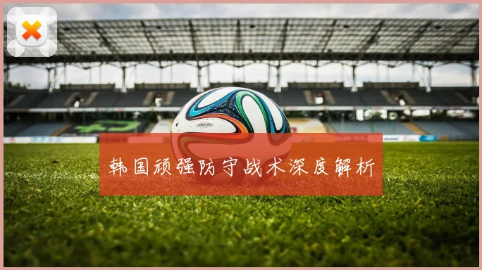 韩国顽强防守战术深度解析