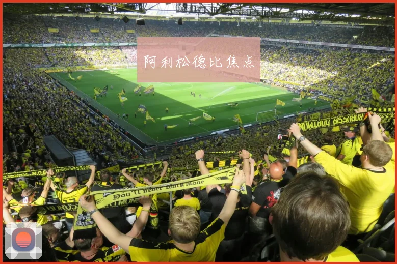 阿利松德比焦点