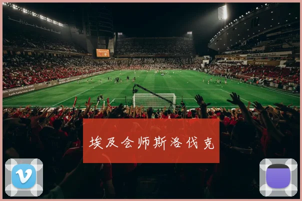 埃及会师斯洛伐克