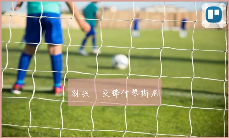 孙兴慜交锋什琴斯尼