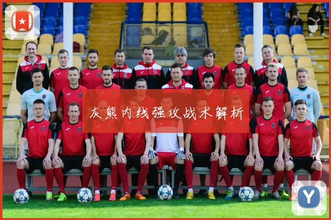 灰熊内线强攻战术解析