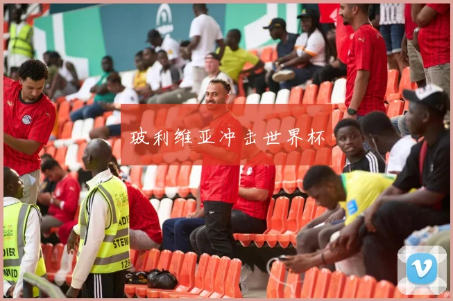 玻利维亚冲击世界杯