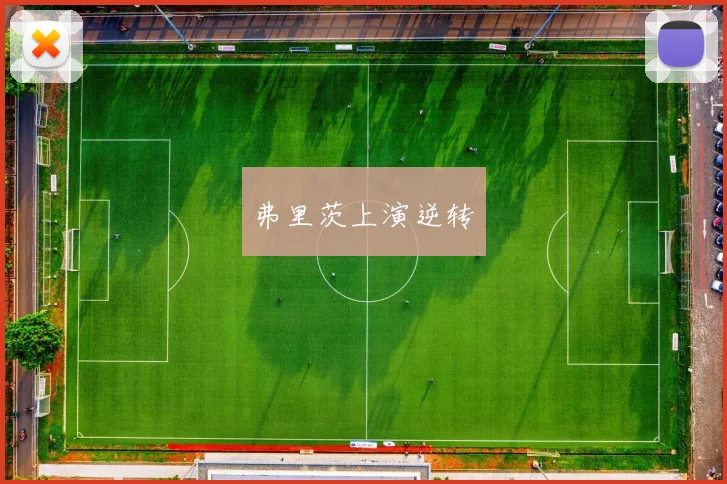 弗里茨上演逆转