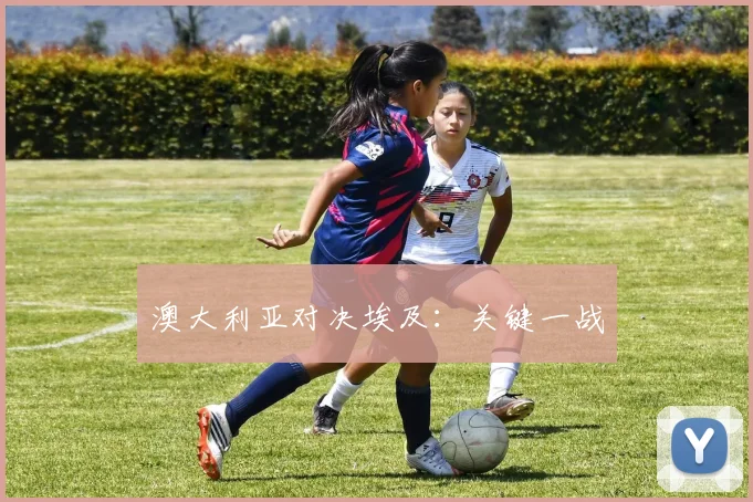 澳大利亚对决埃及：关键一战