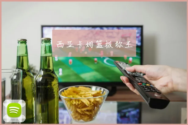 西亚卡姆篮板称王