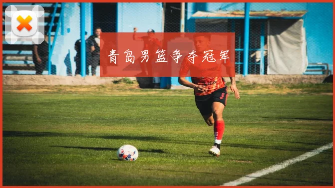 青岛男篮争夺冠军