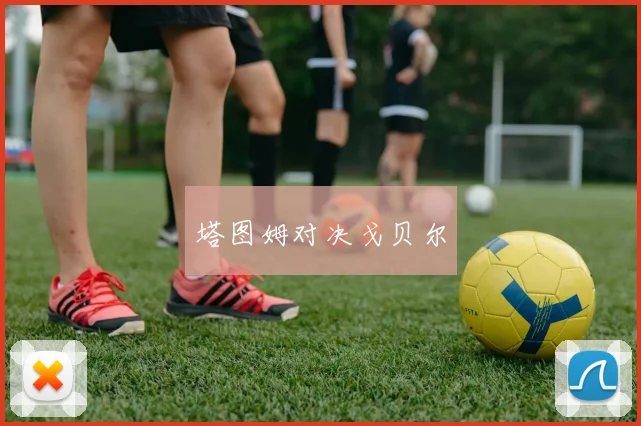 塔图姆对决戈贝尔