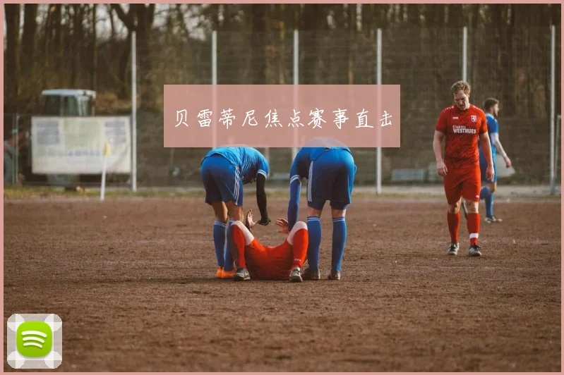 贝雷蒂尼焦点赛事直击