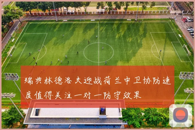 瑞典林德洛夫迎战荷兰中卫协防速度值得关注一对一防守效果