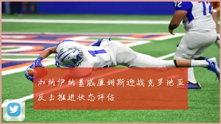加纳伊纳基威廉姆斯迎战克罗地亚反击推进状态评估